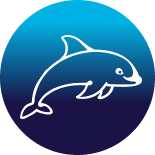 Dolphin icon decal