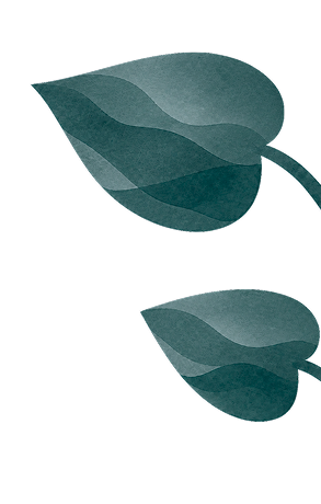 Illustrated leaves