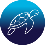 Turtle icon decal